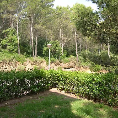 Sa Guilla * 팔스